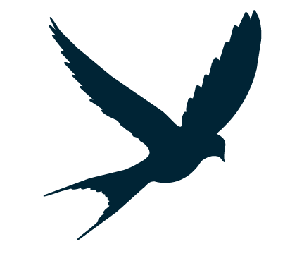 A solid, dark teal color fills the entire image without any patterns, objects, or text.